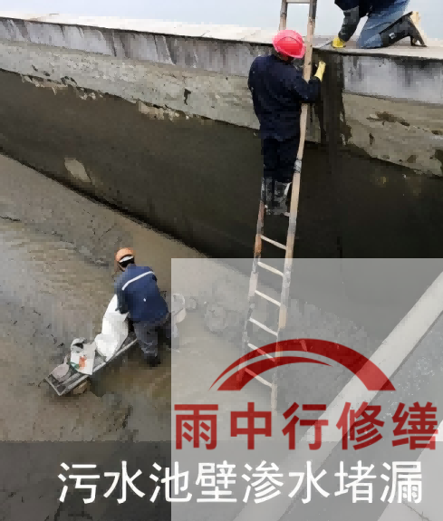 韶关2026年防水龙头半月两次涨价，行业格局重塑信号